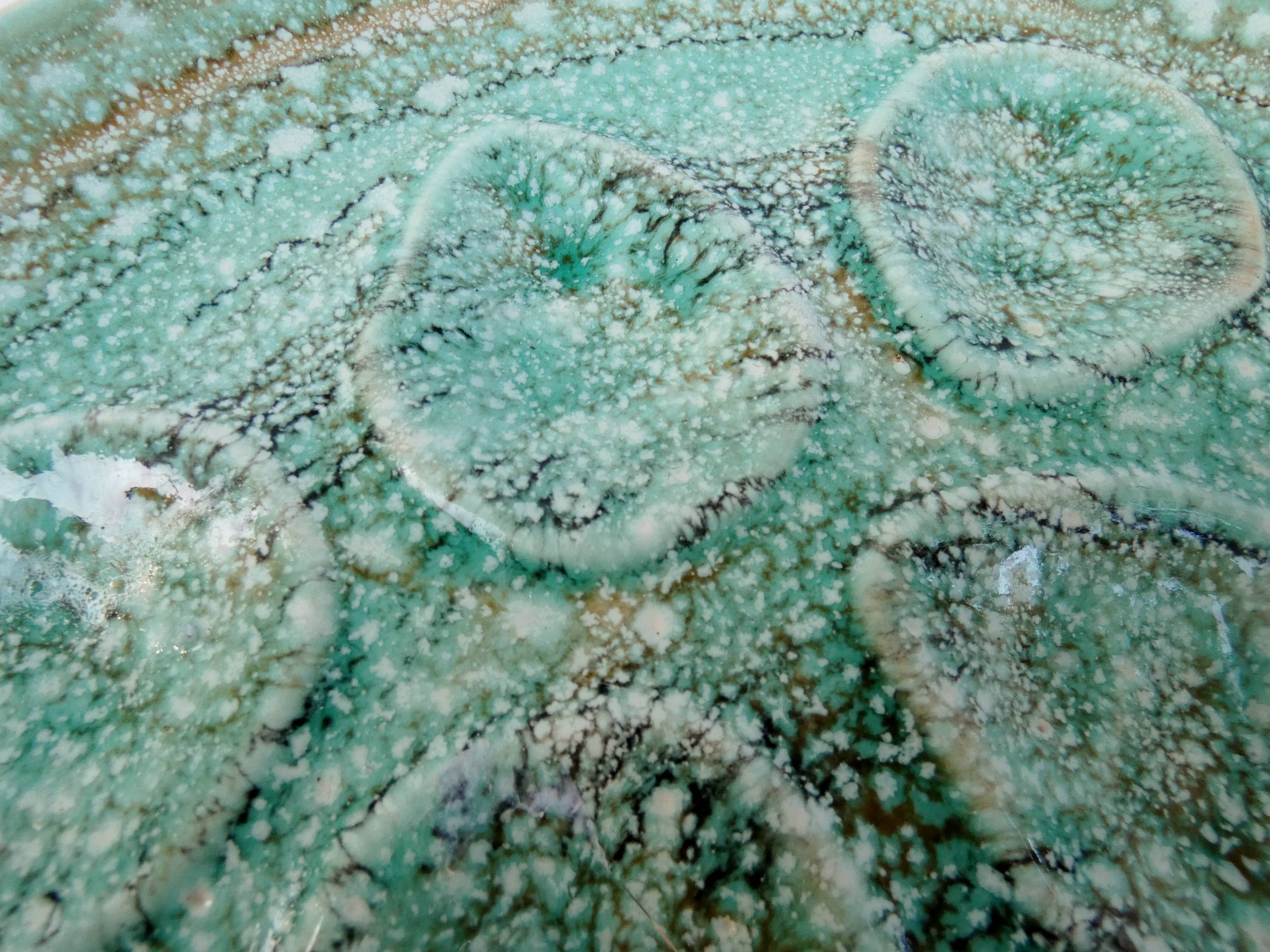 Turquoise ceramic oyster plate signed Niderviller model moss 1950 1960