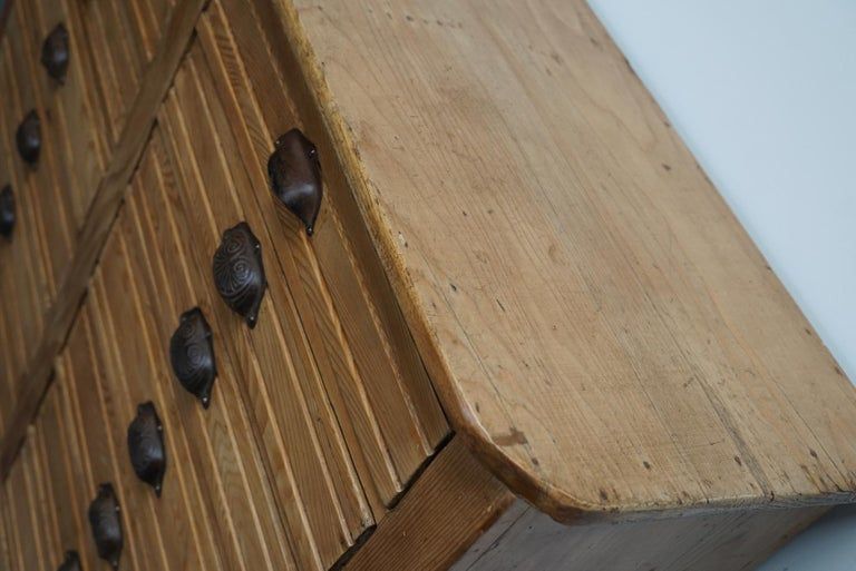 Apothecary furniture in French pine twentieth century