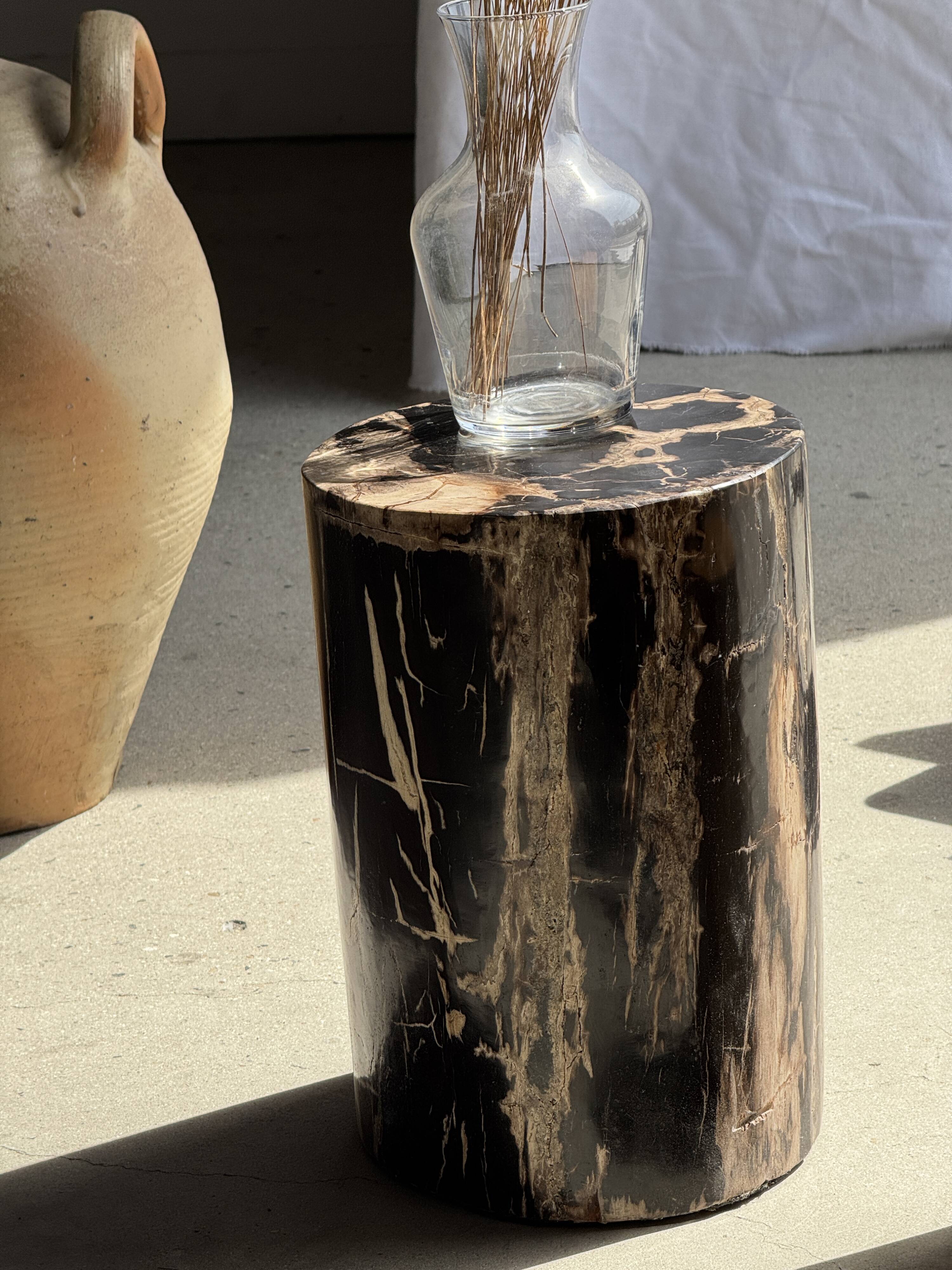 Black petrified wood side table with beige stripes and a semicircular shape.