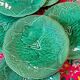 Set of 6 green plates in Barbotine faïence de Gien