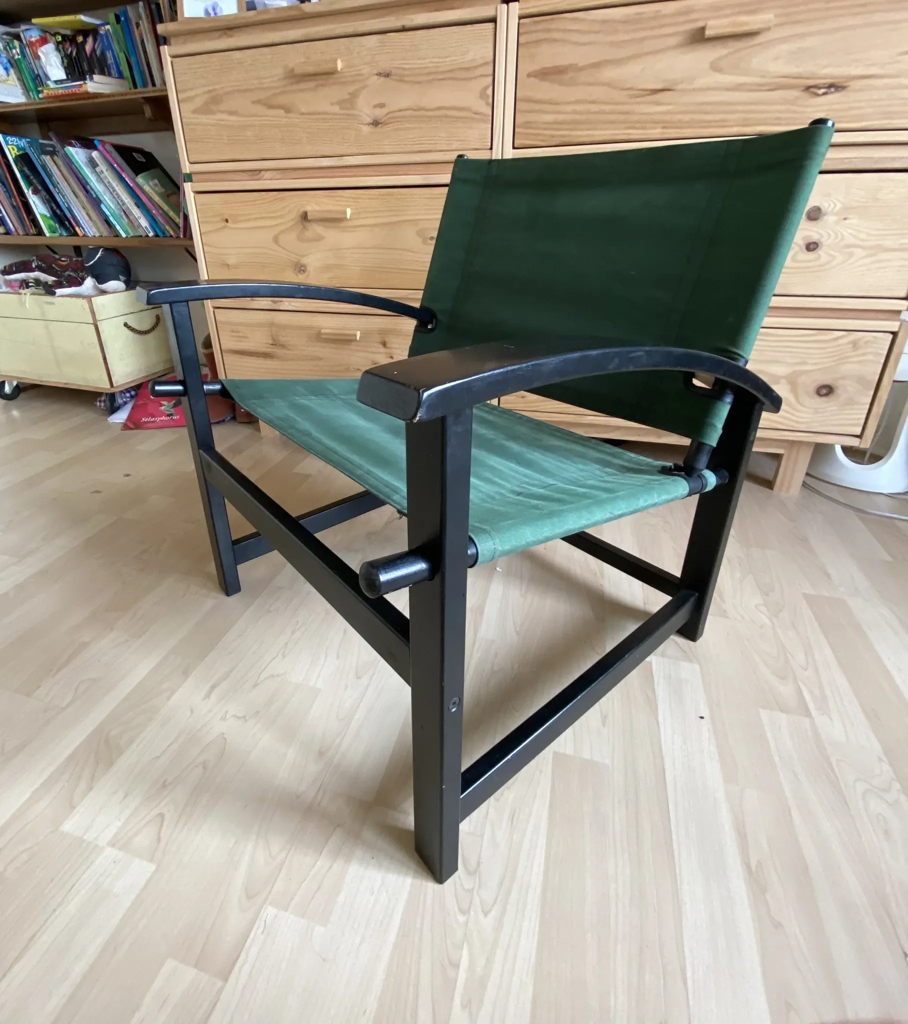 Pair of armchairs Hyllinge Mobler model safari