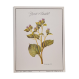 Botanical plate grande burdane