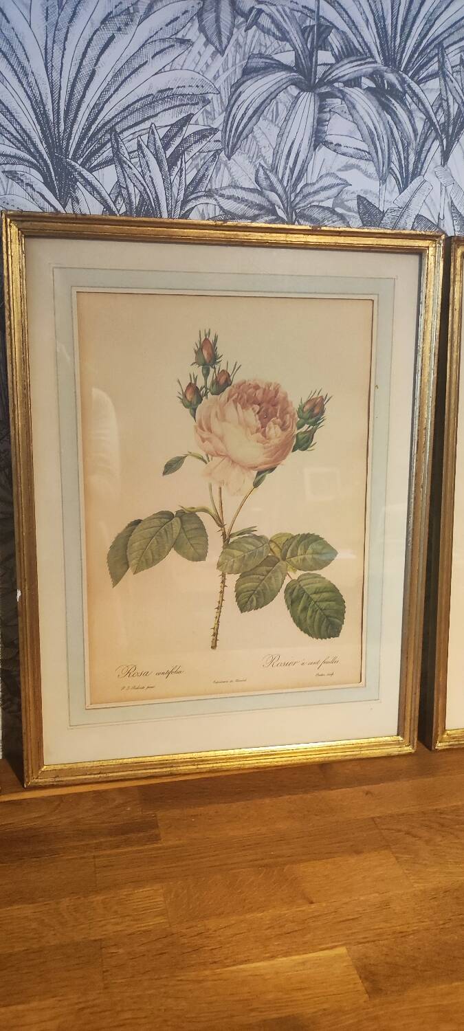 Redouté executive trio