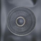 Holophane lampshade