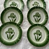 6 flat plates tulip pattern, longwy. Art deco