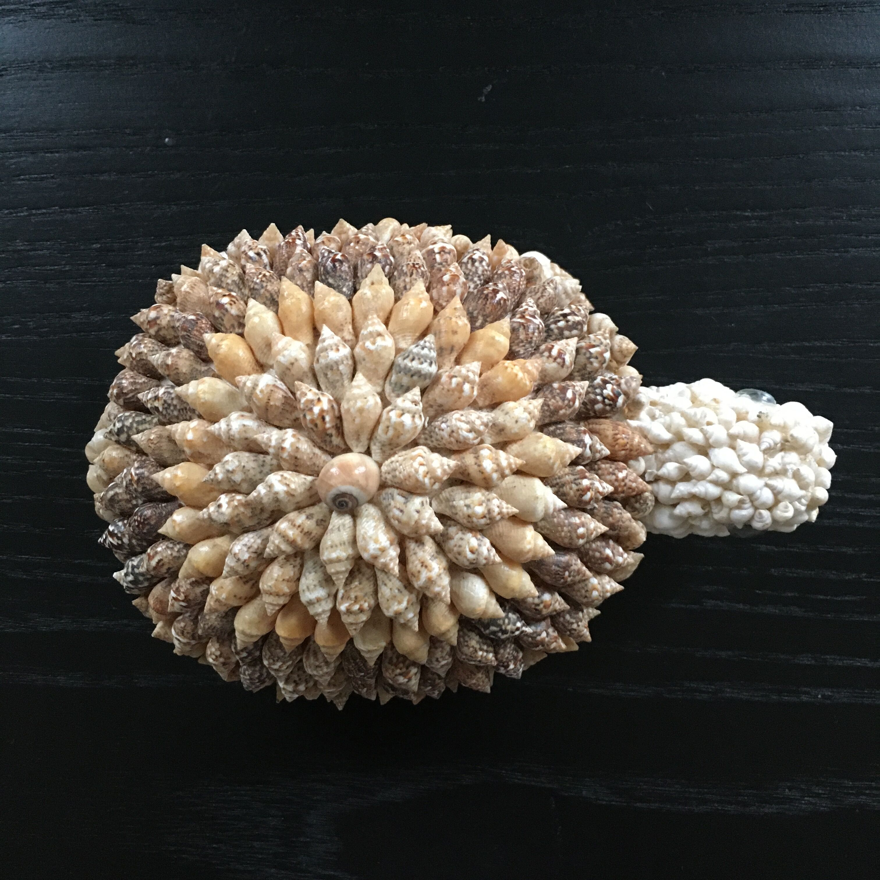 Shell turtle paperweight