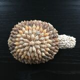 Shell turtle paperweight