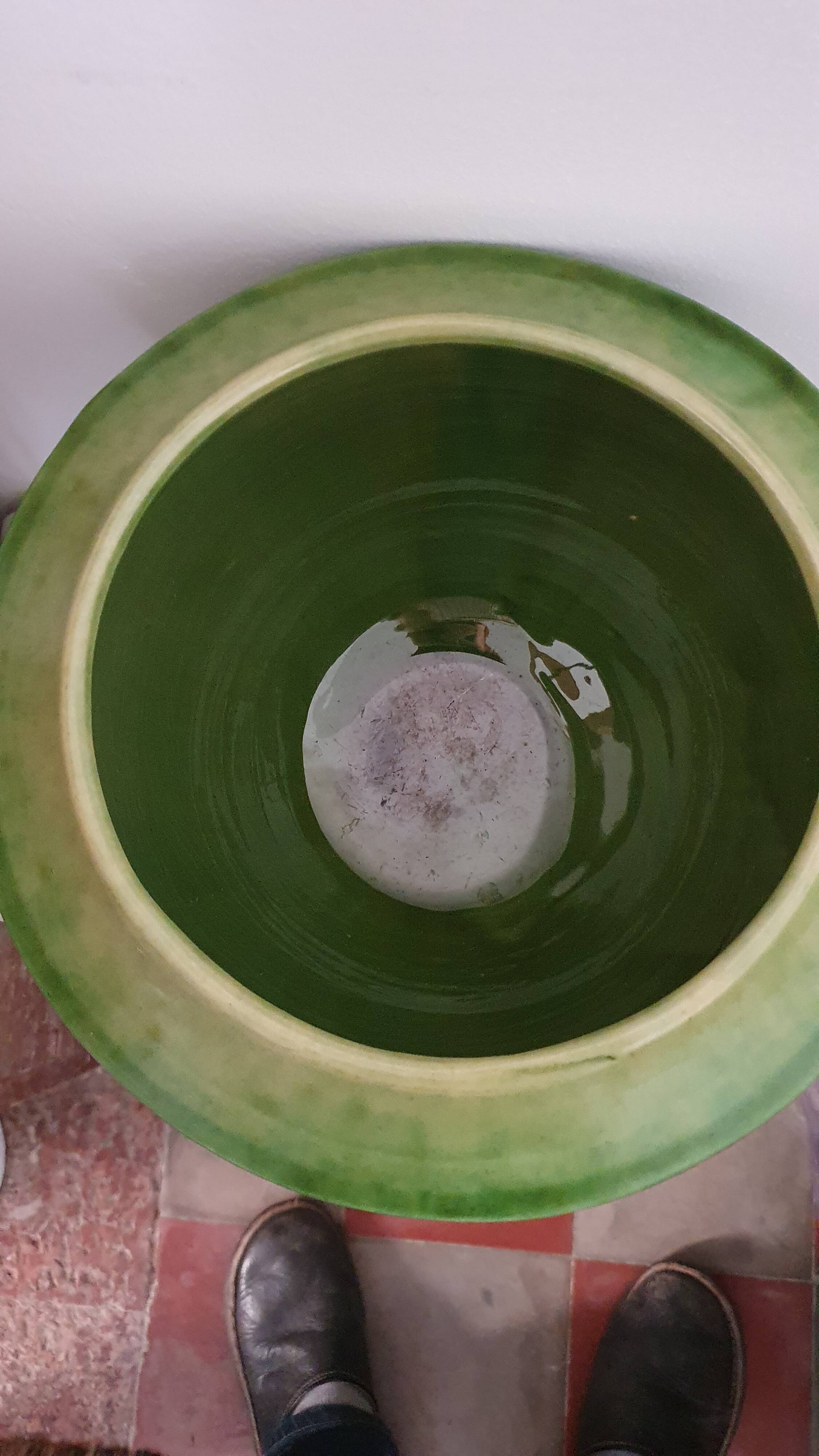 Biot varnished earth soup