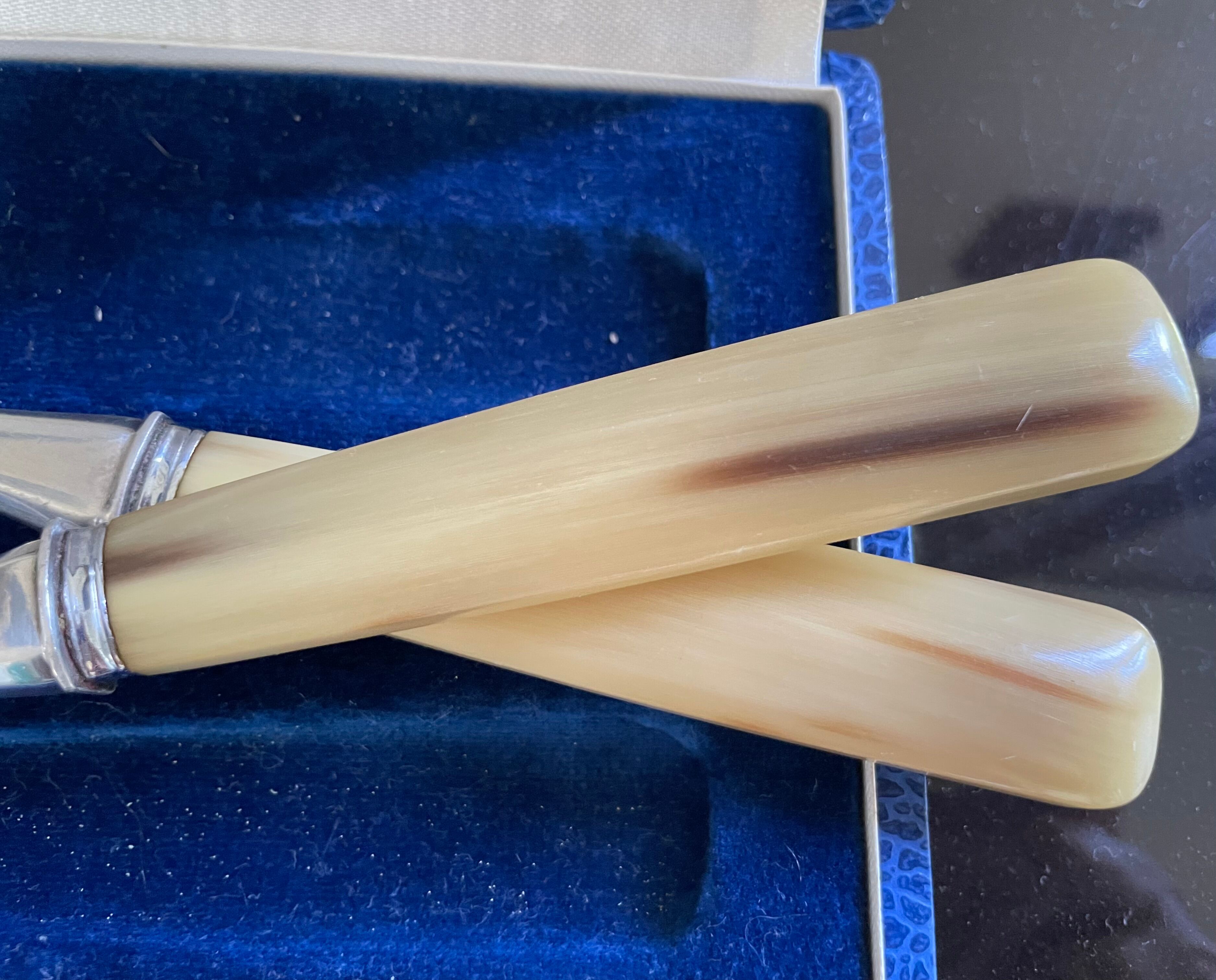 Cutlery to serve silver metal and horn