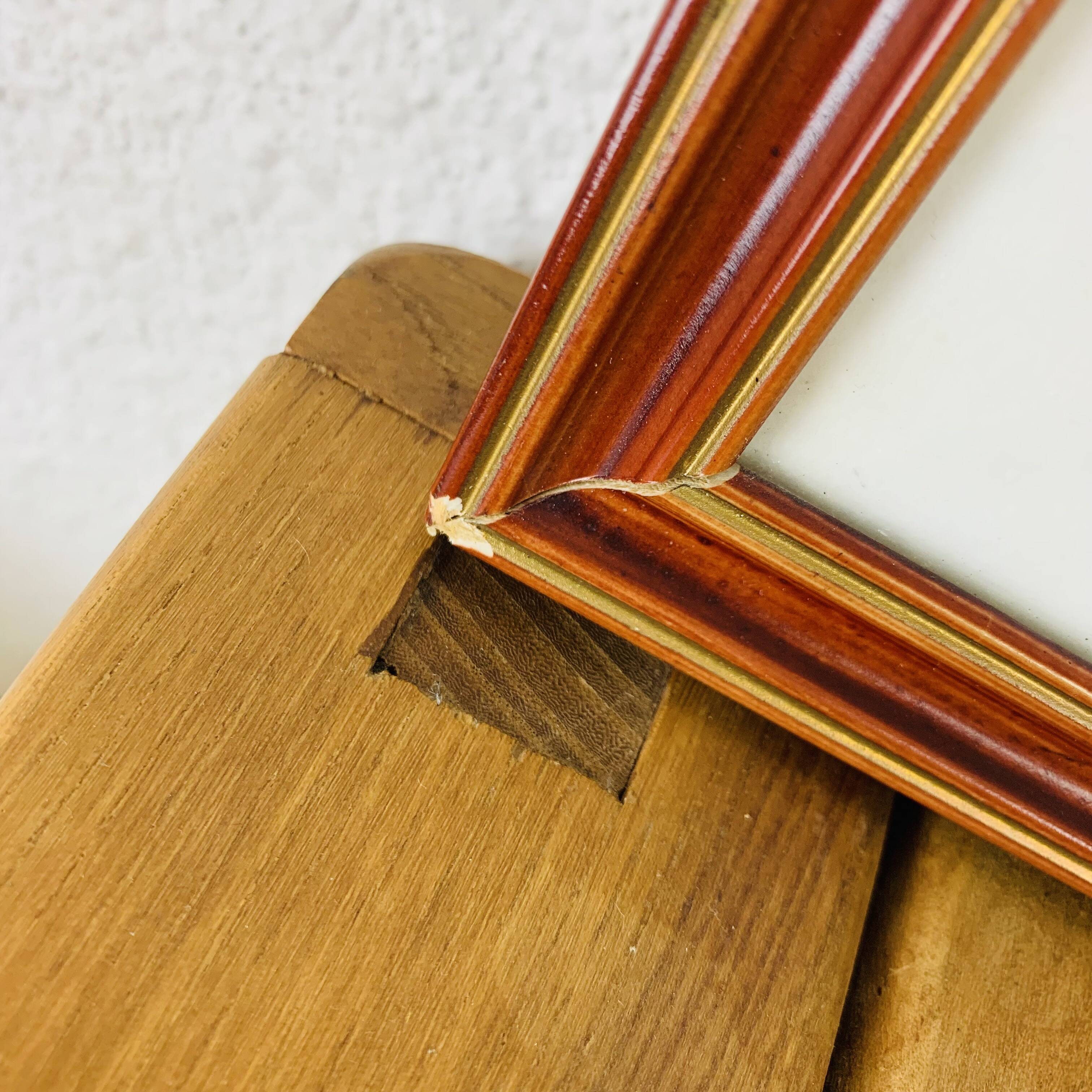Naturalized Attacus Atlas butterfly frame