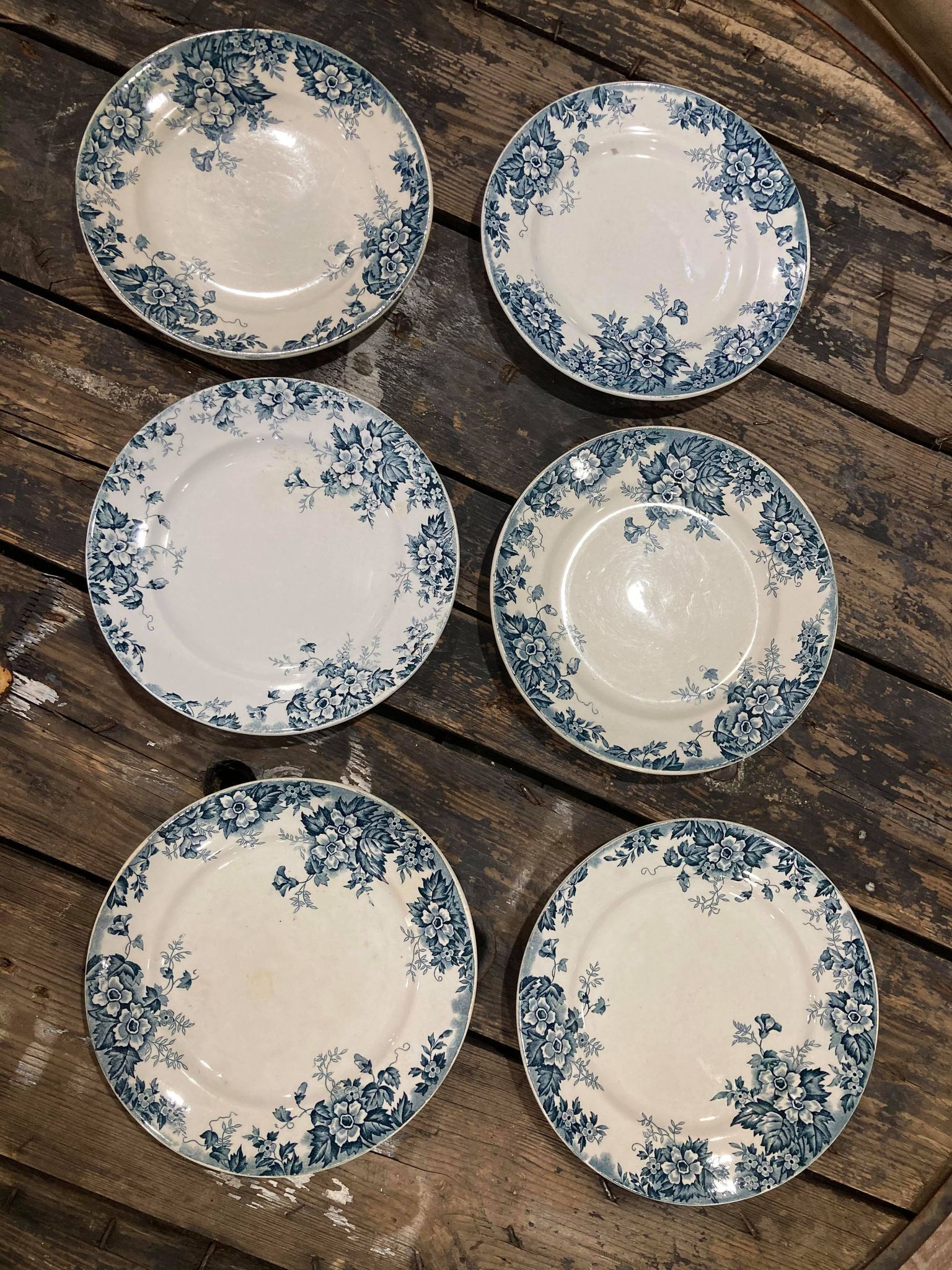 Lot of 6 plates in Terre de Fer Saint Amand - Marie-Louise model hamage