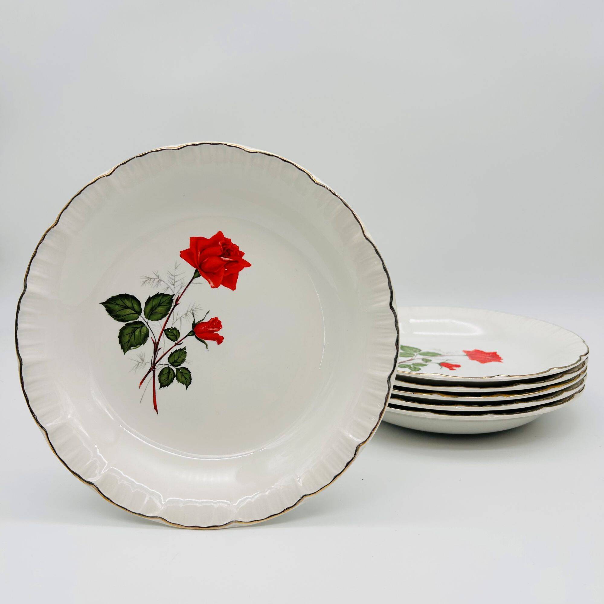 6 Vintage deep plates. Digoin & Sarreguemines, Sevigné model.