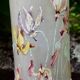 Magnificent Legras Art Nouveau vase from 1900 in frosted enamelled glass.