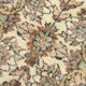 5x9  Faded Classic Turkish Vintage Tapis Rug, 272x172Cm