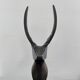 Stylized bovine trophy