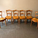 6 old chairs in cherry tree