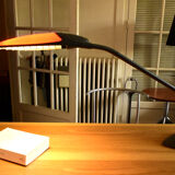 Thierry Blet's Birdy desk lamp