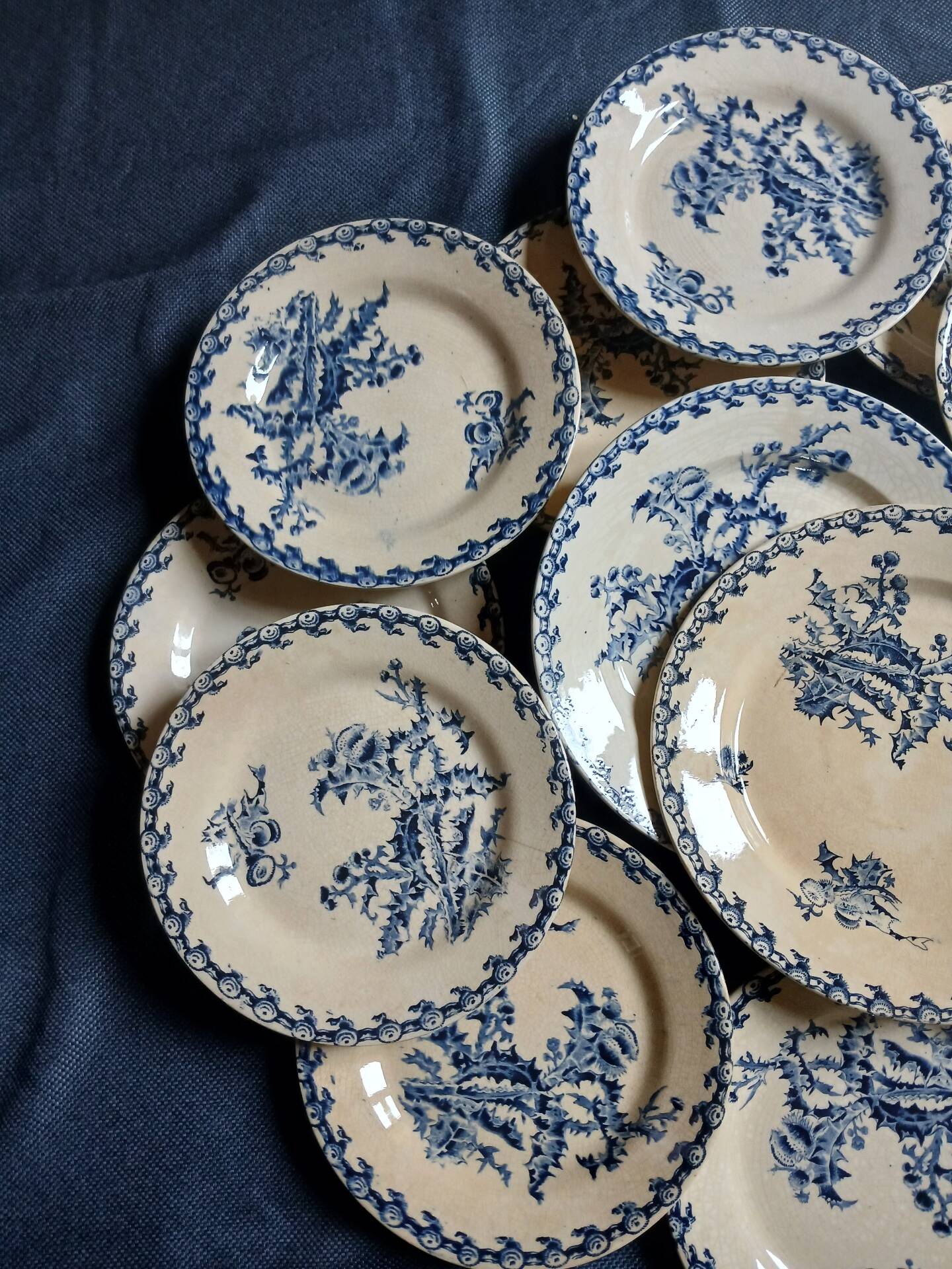 14 dinner plates + 2 "Chardons" dishes from Gien
