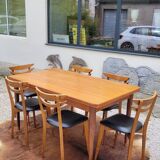 Scandinavian dining room set, 6 chairs with extendable table 1950s