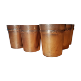11 liquor cups