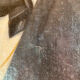 Ancient painting , portrait of a man signed A Delmére and dated 1845