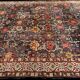 Janus lily stitch rug 340x245 cm