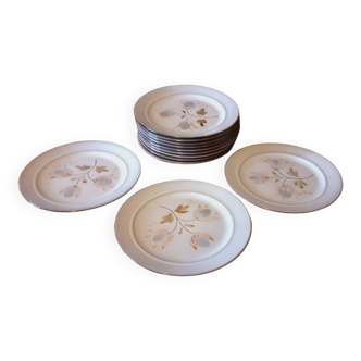 12 stoneware dessert plates from the 70s