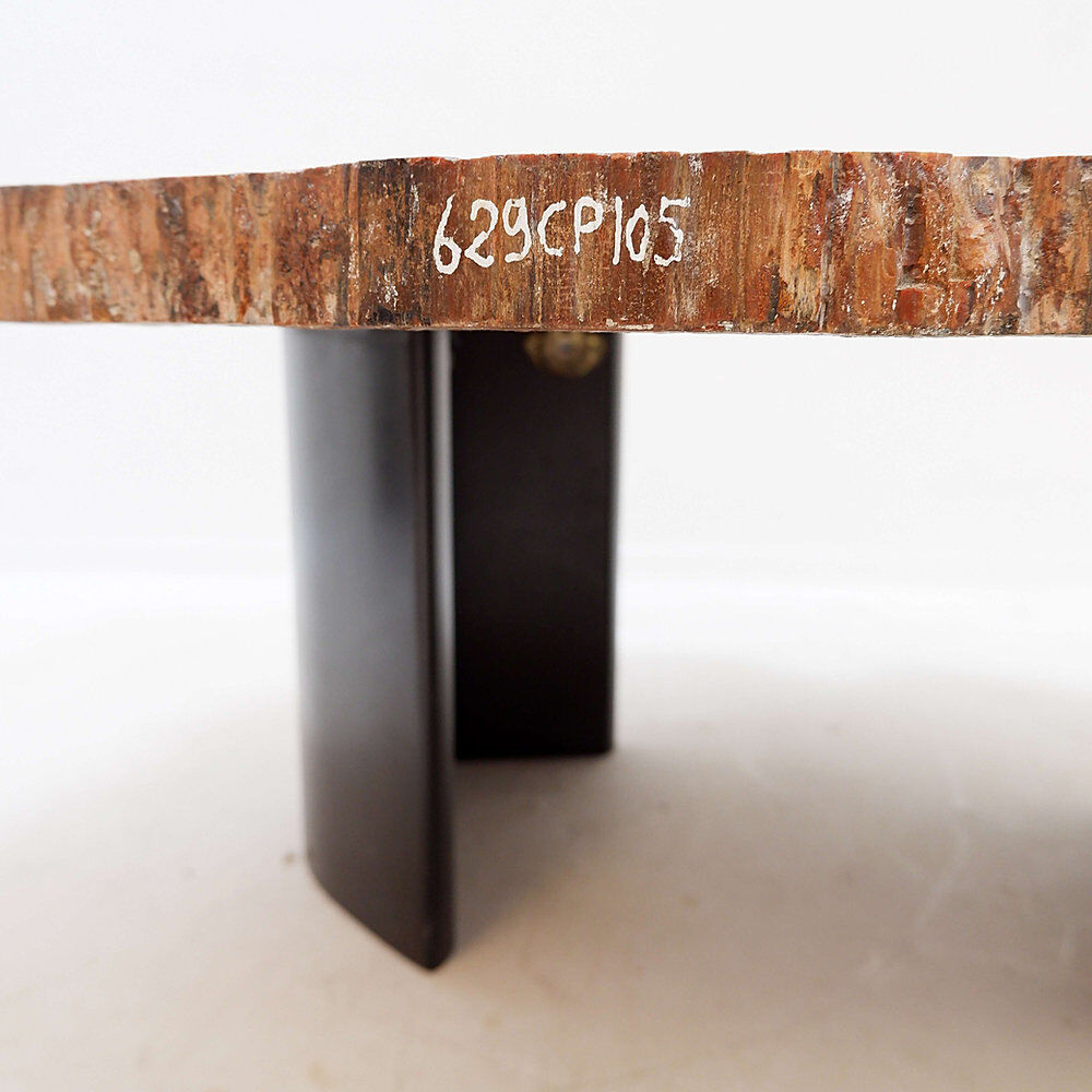 Red petrified wood coffee table from Arizona: 114x88cm