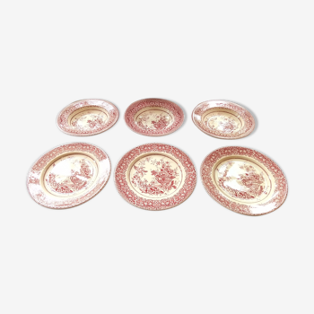 Lot de 6 assiettes anglaises roses