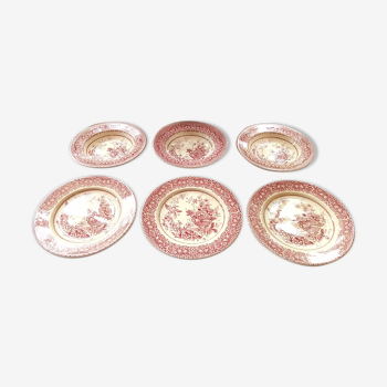 Set of 6 pink English plates