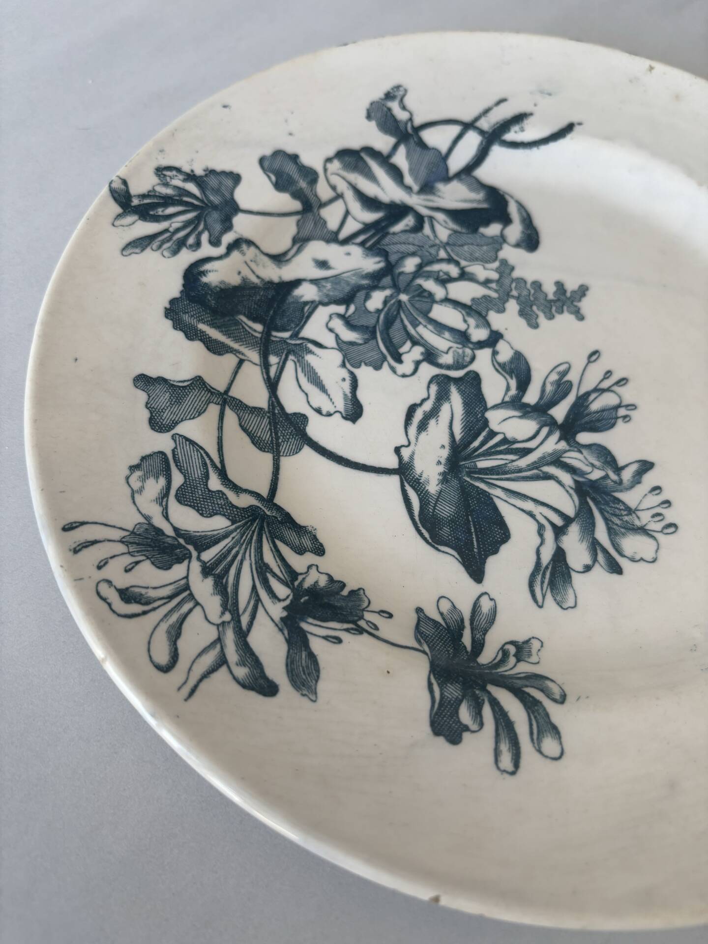 Flat plate, ironstone, Sarreguemines, blue flower - antique earthenware.