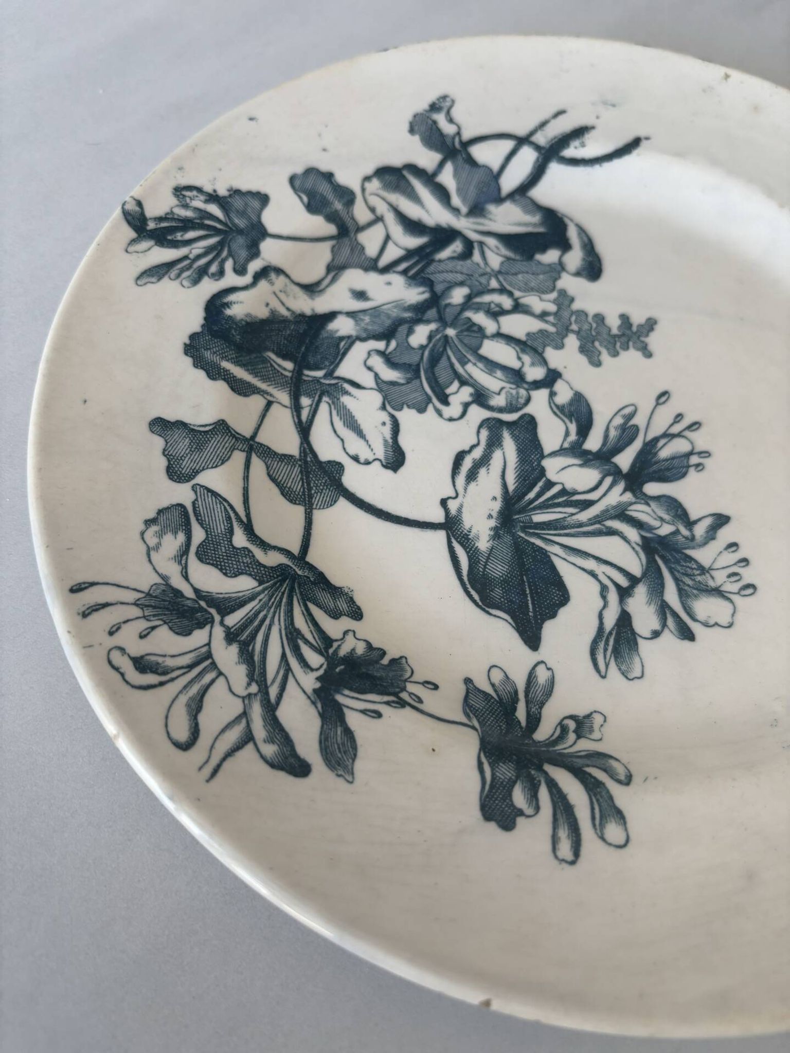 Assiette plate terre de fer sarreguemines fleur bleu- faïence ancienne