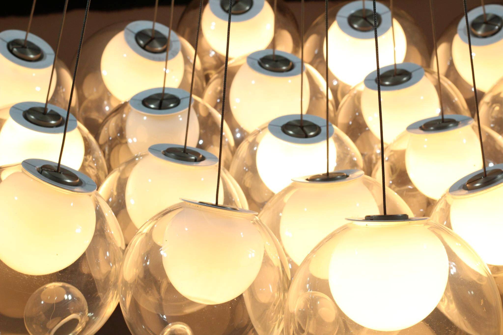Lustre omer arbel for bocci
