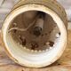 Ceramic lamp by Georges Pelletier