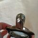 Clipboard turtle magnifying glass