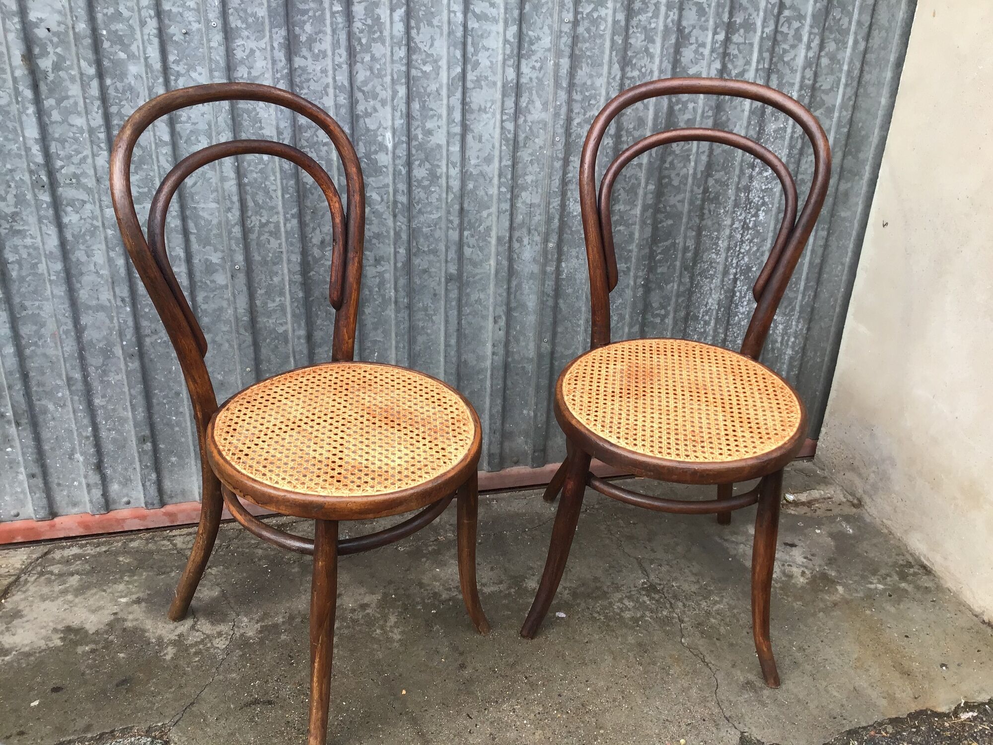 Pair of chairs curved wood tuna and Nr 14
