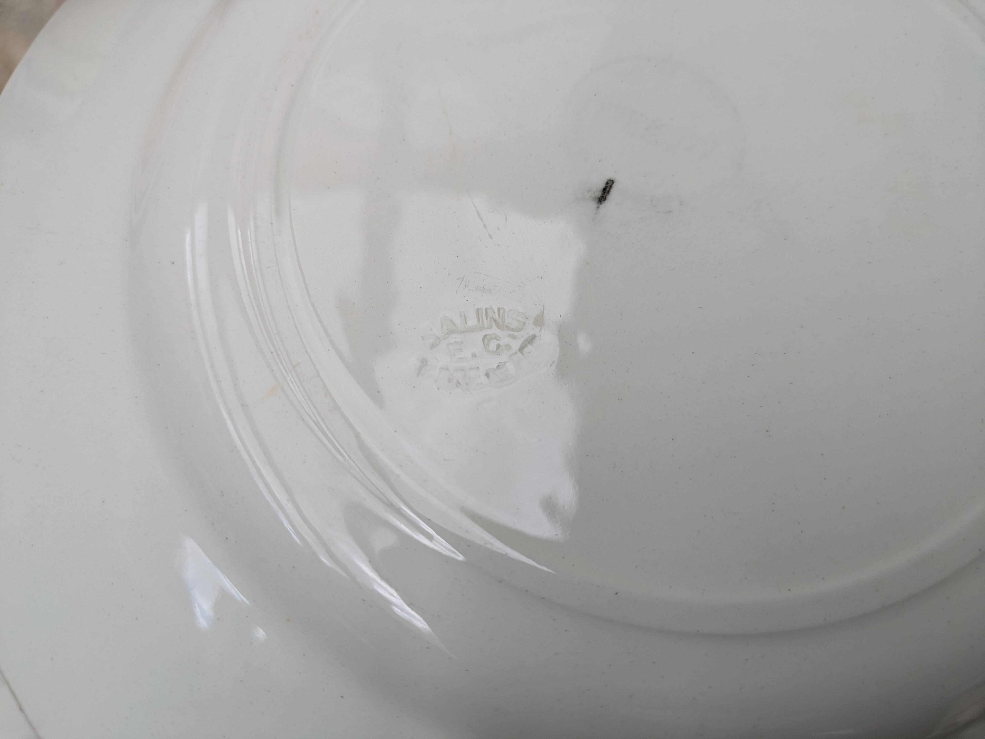 9 old flat plates in Salins ironstone model Nénuphar 24.5cm