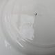 9 old flat plates in Salins ironstone model Nénuphar 24.5cm
