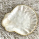 Vide poche coquille nacre et laiton
