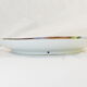 Porcelain dish from limoges or paris around 1900 decoration at martin pecheur