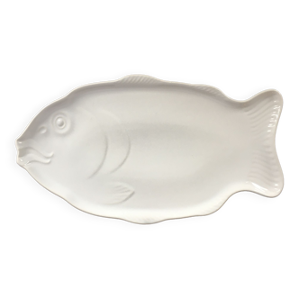 White fish dish