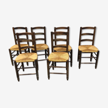 Lot de 6 chaises rustiques paillés