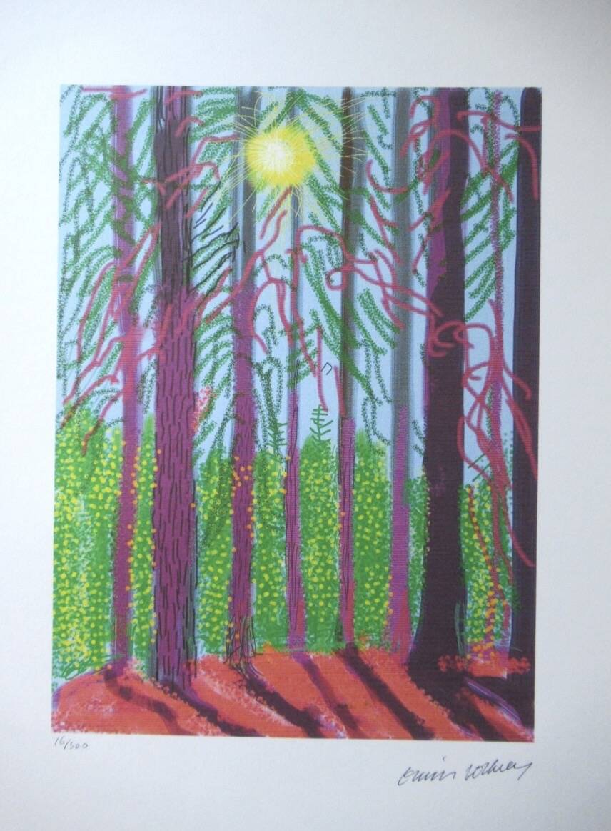 Lithograph by David Hockney, signed and numbered.