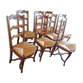 Lot of 8 chairs