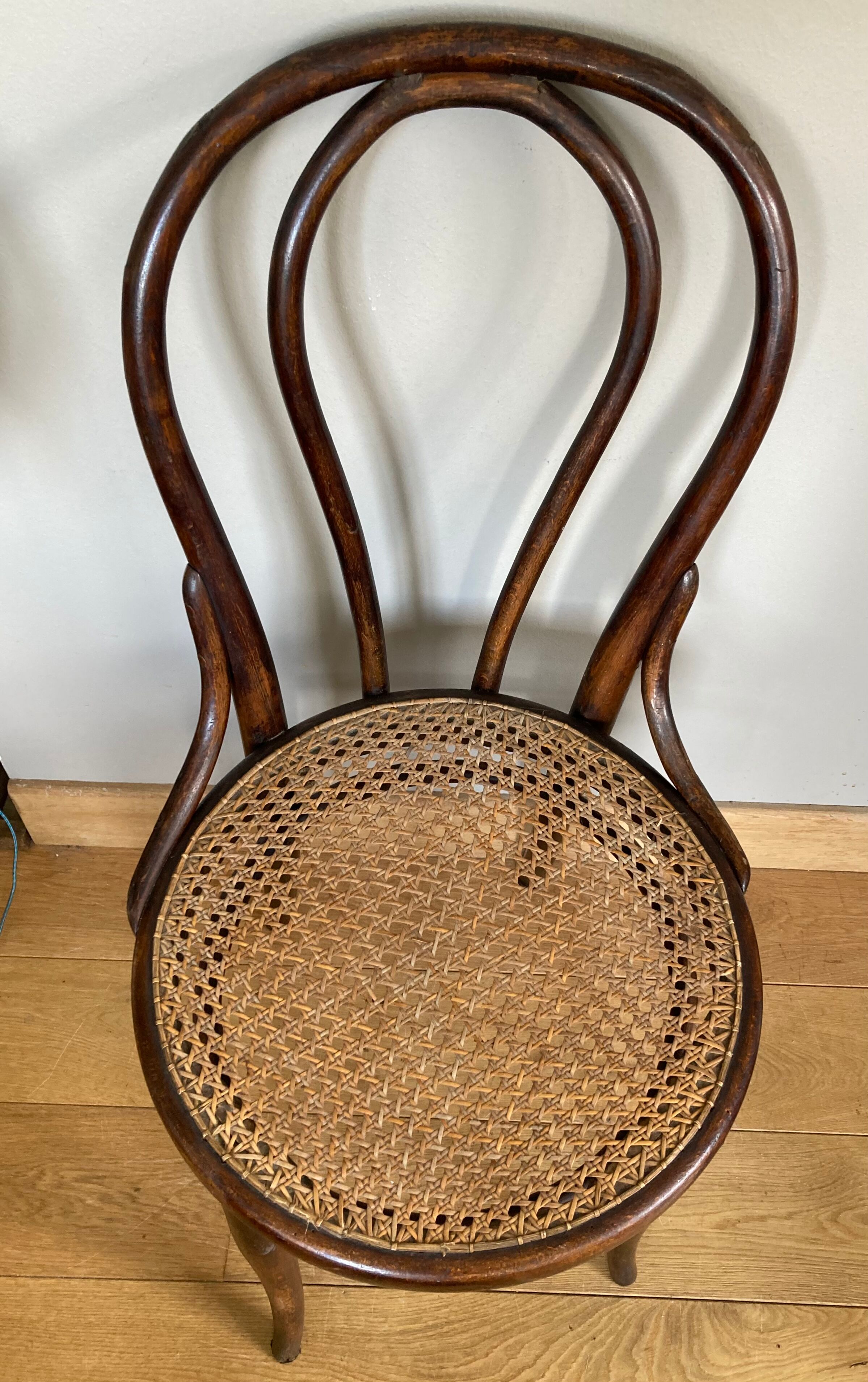 Real Tuna Chair in curved wood, label + hot iron stamp