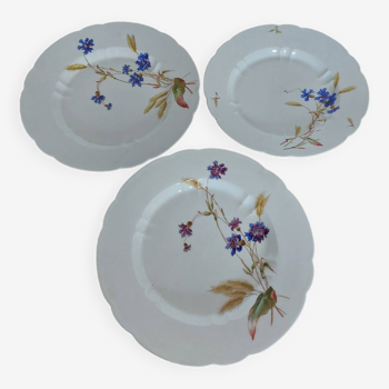 Set of 3 old round dishes Limoges Porcelain Haviland