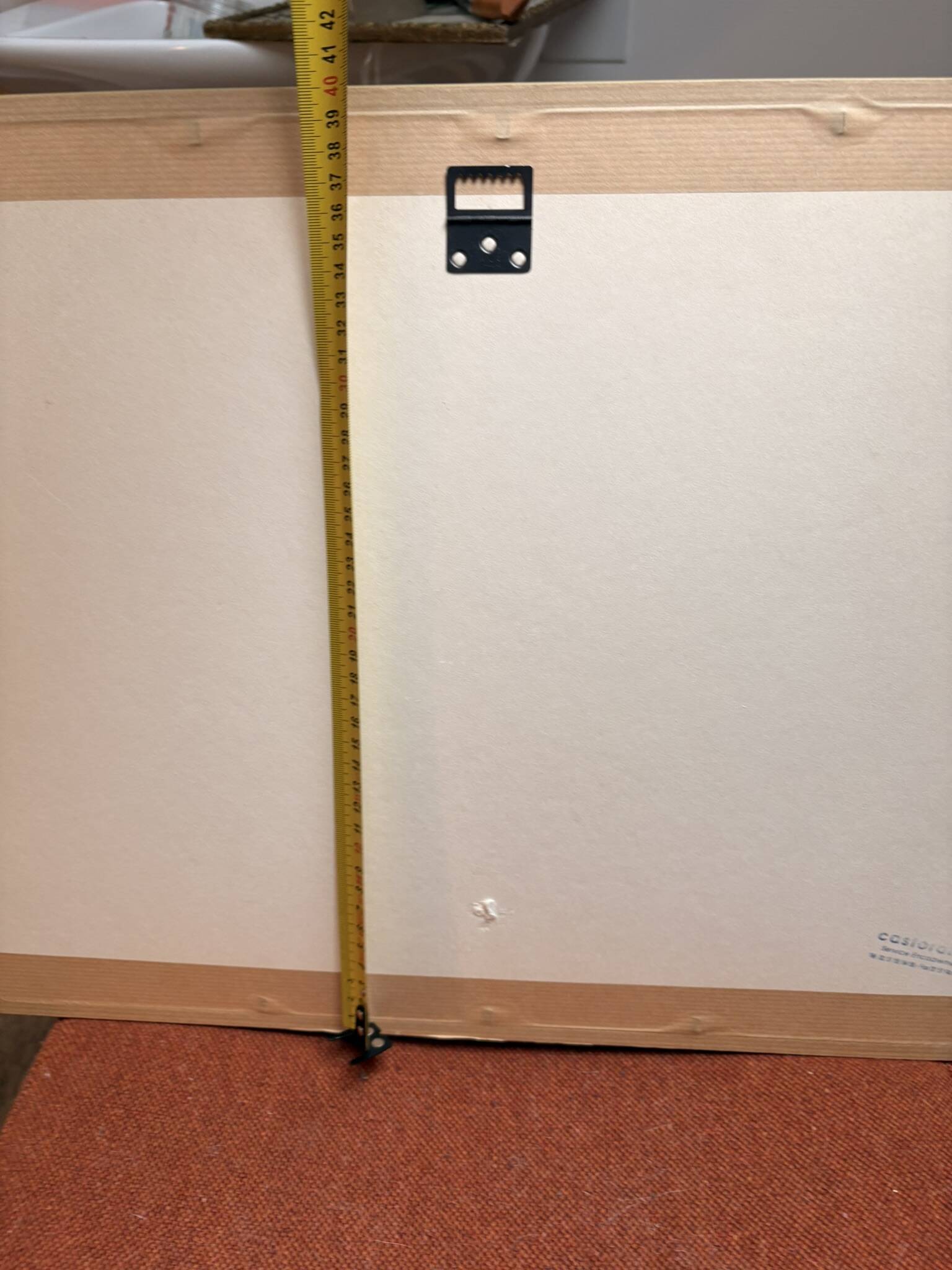 Old Print Engraving 19th Century Anatomy Nose Mouth Plate Head Morphology