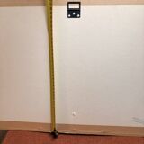 Old Print Engraving 19th Century Anatomy Nose Mouth Plate Head Morphology