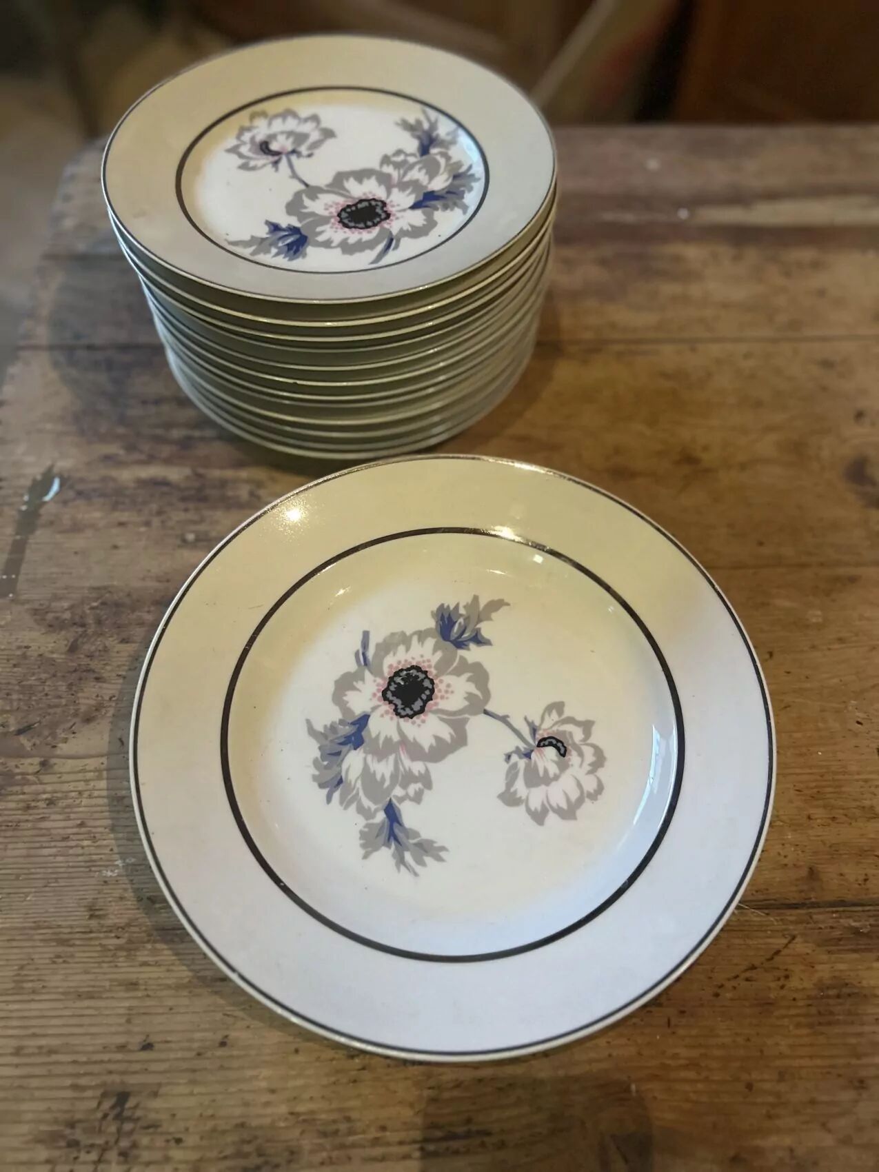 Set of 12 antique porcelain plates with anemone pattern + matching large plate 29.5 cm