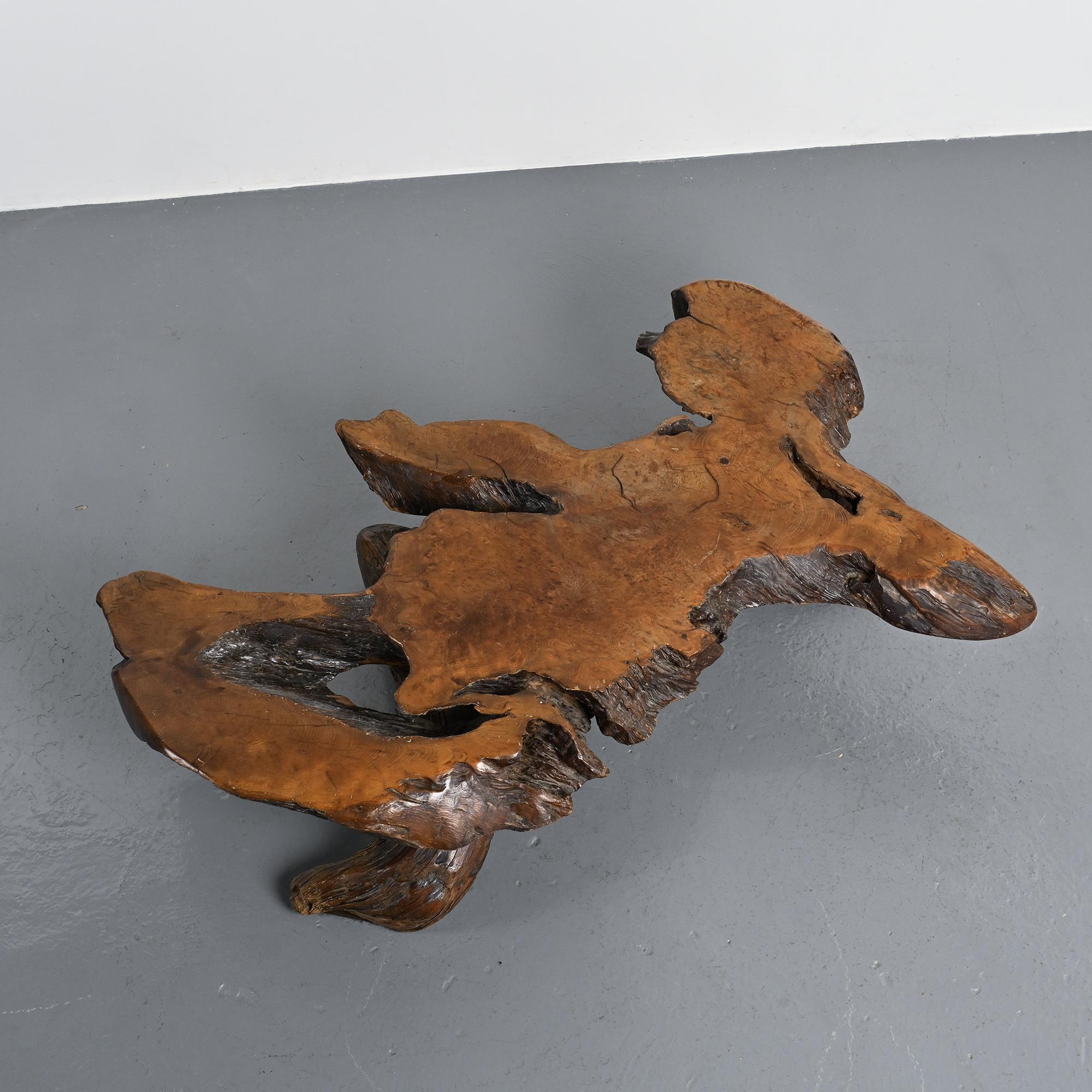 Table basse brutaliste en loupe d'orme, circa 1960